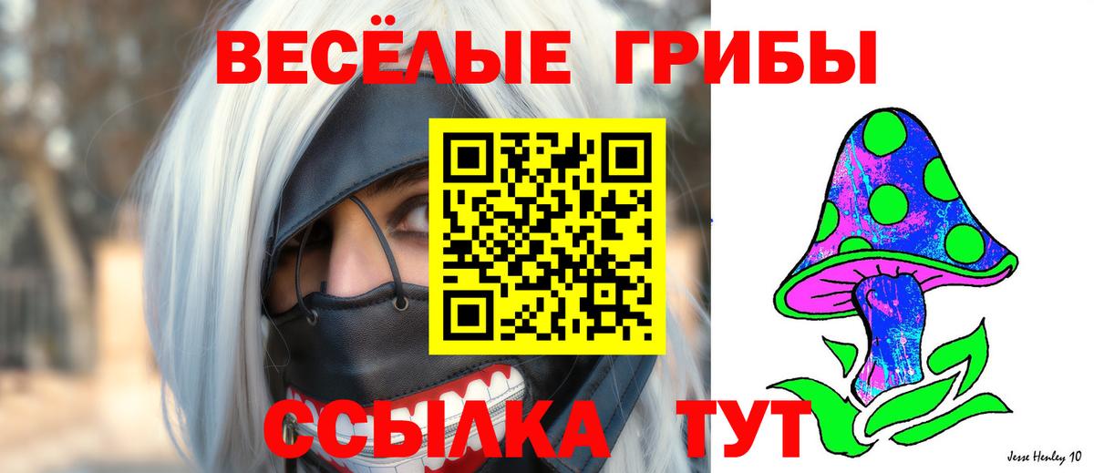 Галлюциногенные грибы Magic Shrooms  Вход с VPN  Ковров 